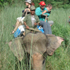 Chitwan National Park Safari